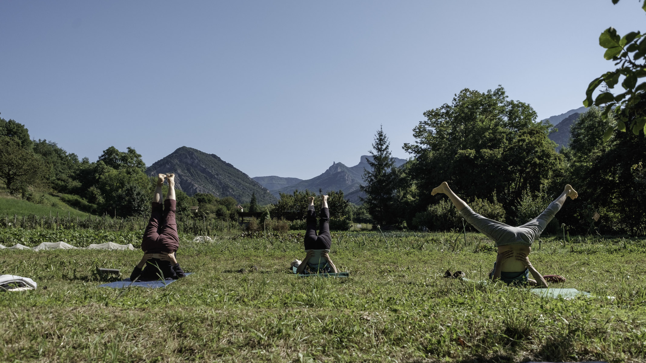 Yoga en Plein Air Printemps