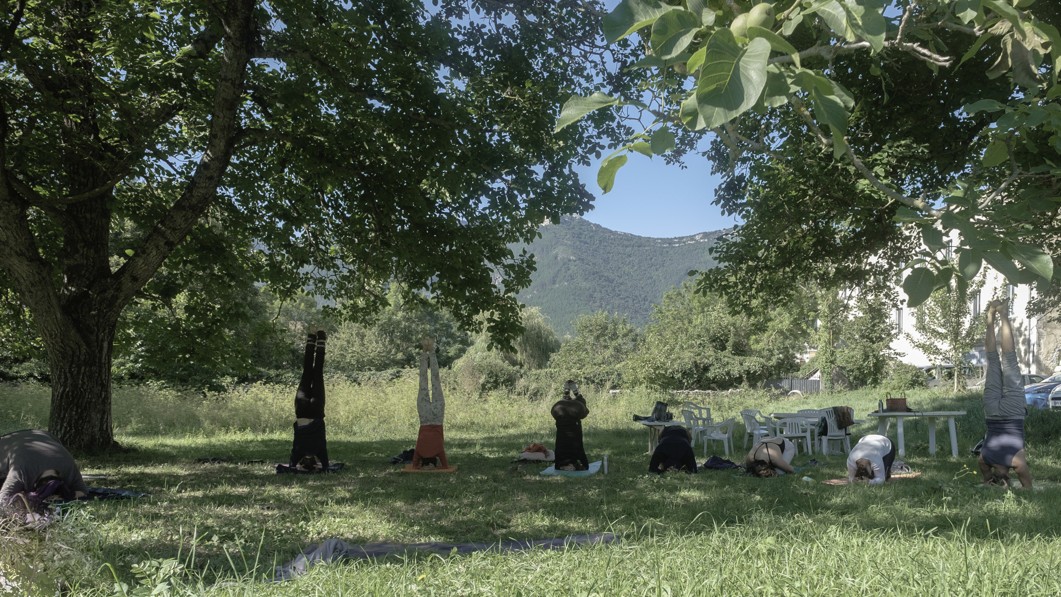 Yoga en Plein Air été